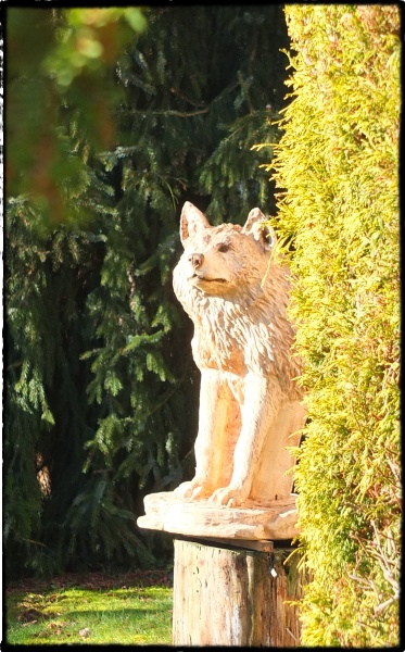 wolf holz geschnitzt motors�ge kettens�ge kunst holzwerker