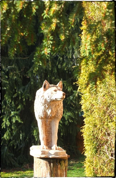 wolf holz geschnitzt motors�ge kettens�ge kunst holzwerker